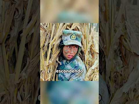 Os recrutas estão recebendo o treinamento de ocultação.#shorts #movie #film
