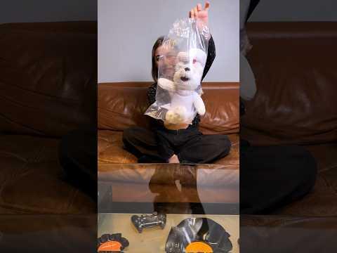 ¿Peluche gratis si comprás pan? 😂