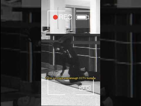 The Time Batman Got Sued