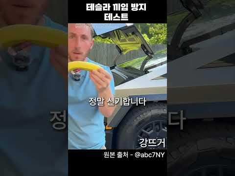 테슬라 손가락 끼임 테스트 더빙