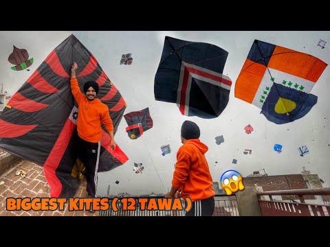 Flying Kites On Sunday 😱 *12 TAWA* Patangbazi | Kite Vlog