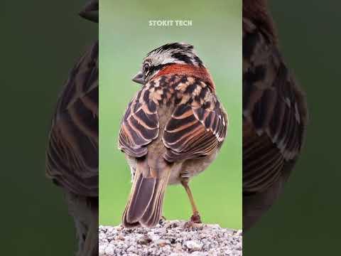 This Will Shock You 🤯