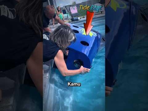 Test untuk Masuk ke F1