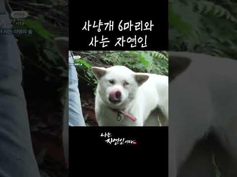 사냥개 6마리와 사는 자연인 #shorts
