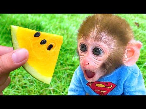 Mono BonBon hace caramelos y limpia la casa - MONO BONBON ESP