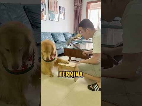 Aguantó el DOLOR Como un Campeón...