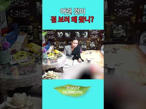 왜 이렇게 어려? 점 보러 왜 왔니? #shorts