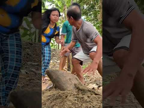 Tao lang pala. Abacca vlog | just for fun #funny #justforlaught #newvlog