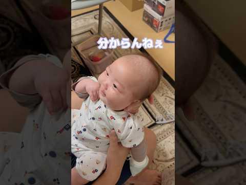 白状りとちゃん#赤ちゃん#セチュラジオ