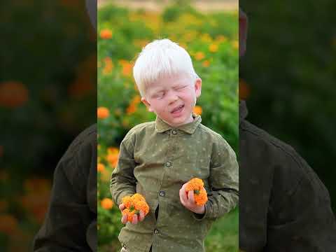 angrej Babu ka ful fenk Diya | #viralvideo #emotional #shorts