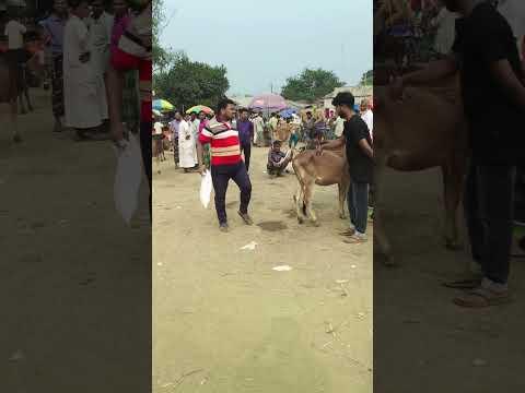 After a long time, I entered the field.