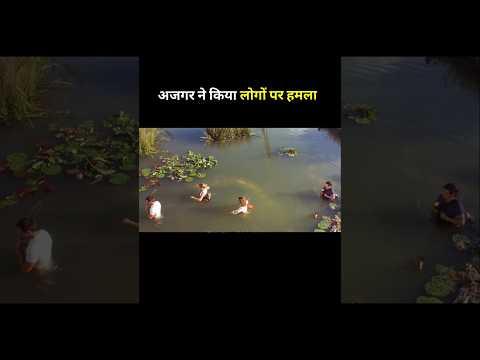 python attacked #shortvideo