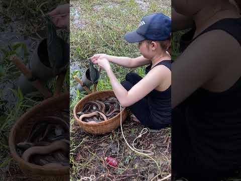 Unbelievable Oil Fishing Technique With Survival Skills