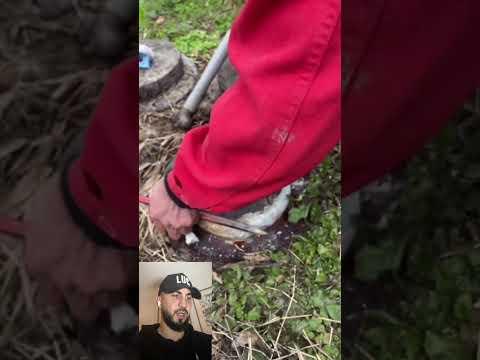 How was it buried 2000 years ago?￼