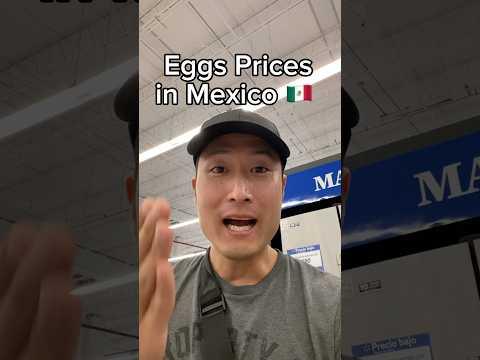 USA vs Mexico Egg Prices🍳💰
