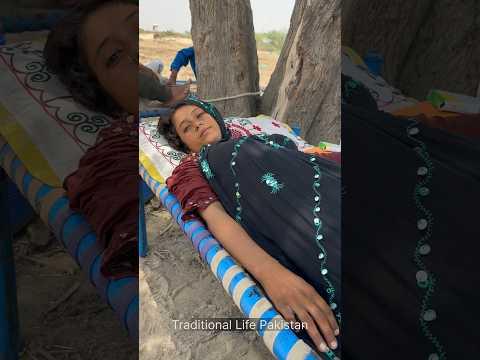 Desert life #traditional #camel #villagelife #india