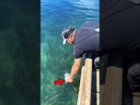 লাজুক জলবন্ধুর রহস্য !😮 | The Secret of the Shy Water Friend