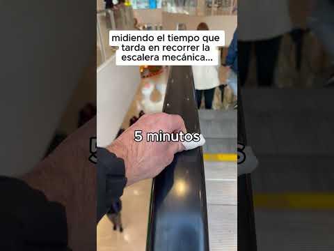 Cuánto TARDA la Escalera Mecánica...