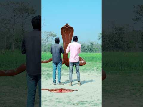 नागिन का बदला #nagin #funnyvideo #shorts
