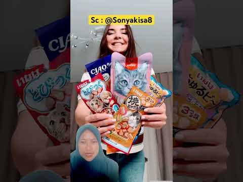 Miaw dan t1kus kerjaSama‼️