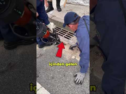 Kanalizasyondan Kurtarılan Hayvan 😱