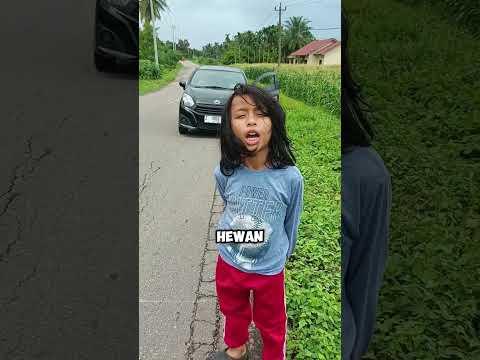 Ketika Papa Ara Lihat Monyet Tertabrak Di Jalan Menuju Aceh. Papa Mau Pinggirin Monyetnya Bahaya 🐒