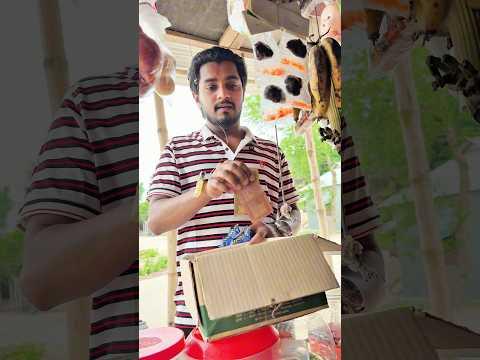 বোকা ছেলে #jk_shanto #comedyshorts #comedy_video