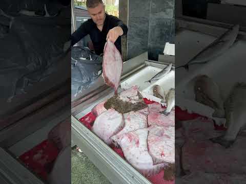 Karadeniz kalkan 💯🐟 Black sea Turbot ✅