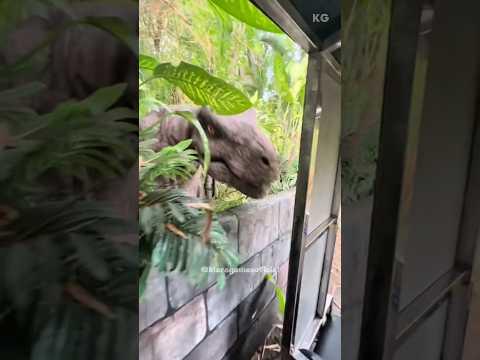 Eles TOMARAM um susto no PARQUE! #shortsyoutube