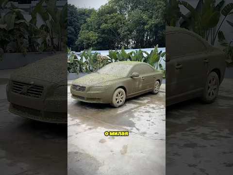 Грязная уборка машины — вызов принят! 😳🤩🧹