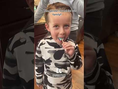 Esta Fiesta De Revelación De Género Fue Creativa