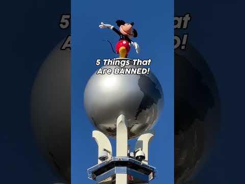 BANNED in Disney World 🚫