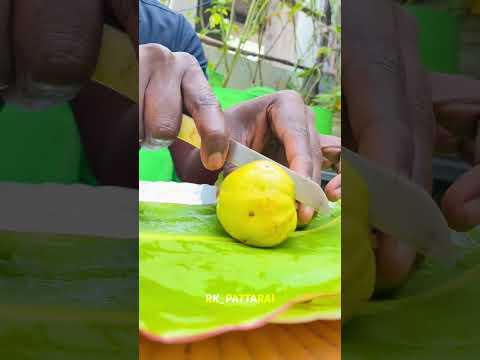 யாருக்குலாம் இப்படி சாப்ட புடிக்குமோ மறக்காம ஒரு LIKE அ  போட்டுட்டு போங்க | TERRACE GARDEN