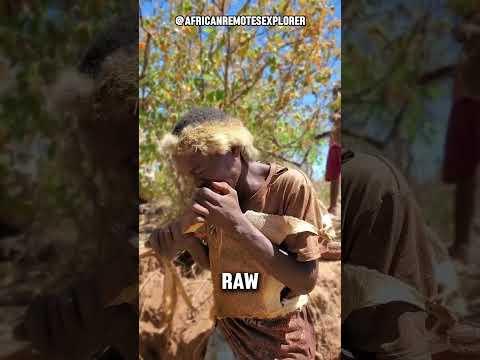 Hadzabe Tribes Staple Food #dndx1