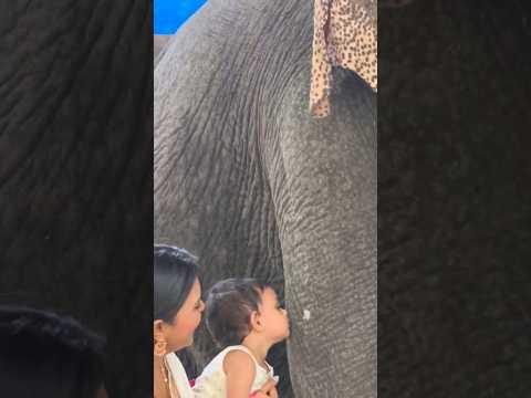 Annak Ummakoduth Dwanibabzz🥰