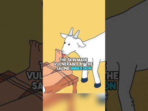 The Goat Tongue Torture Method