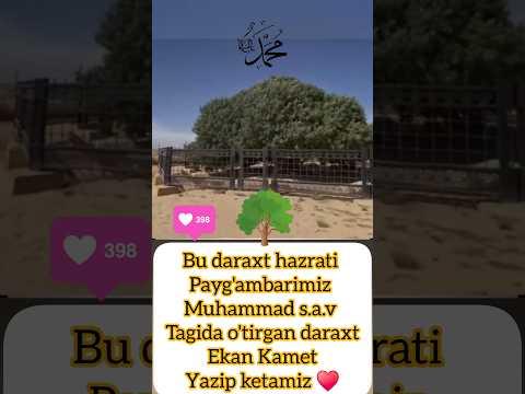 Payg'ambarimiz Muhammad s.a.v 🥰 #kinolar #shortsviral #shoes #kinomania