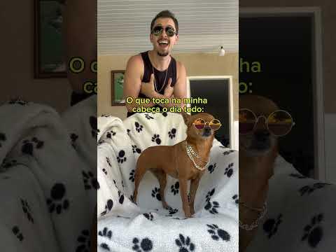 25 de novembro de 2024