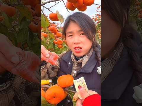Delicious Sweet Persimmon Fruit 🍑🍑 | Amazing Fresh Fruits Harvest from Farm #shorts #youtubeshorts
