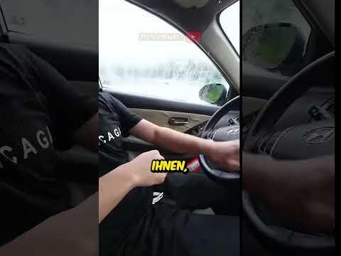 Der Autofahrer ist verrückt! 😳😱 #auto