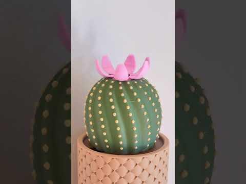 A Cactus that is happy to see you pt. 2