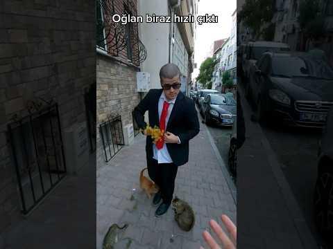 Biraz acelesi var sanırım!!#keşfet#keşfetteyiz#beniöneçıkart#sigma#shorts#mizah