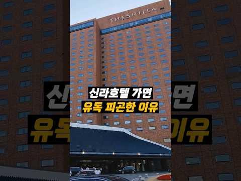 신라호텔만 가면 피곤한 이유 찾았습니다