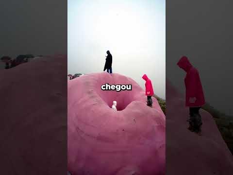 o coelho gigante na montanha 🐰