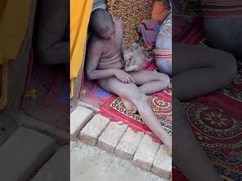 Aaj Mahakumbh ke viral baba se mil liya 😱 || #short #treandingreels #dadavlog #viral #mahakumbh2025