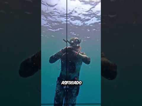 Fue atacado por un pulpo