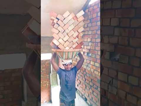 কন্টাকটার বল্লো৫০টি ইট মাথায় করে ২০ তলার উপরে উঠাতে পারলে আমাকে ১ হাজার টাকা দেবে।