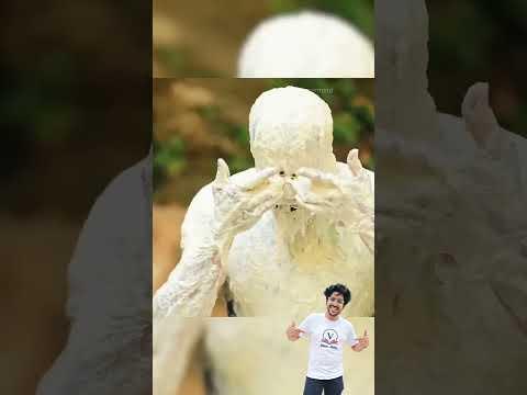 It is a social experiment. #experiments #science #scienceexperiments #physics #chemistry #shorts