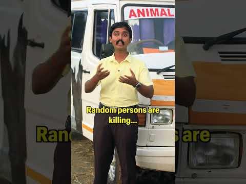 A Horrible Incident at a Wedding #wedding #marriage #newlife #truth #biryani #goat #animals