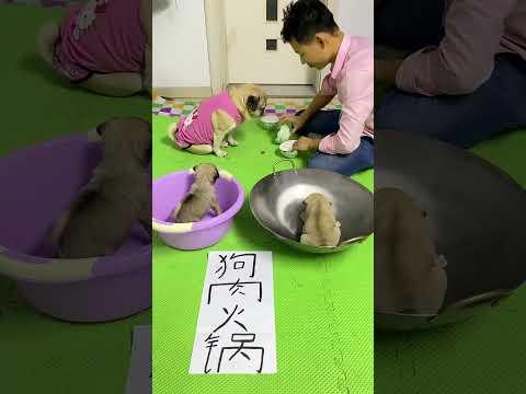 अब मैं बच्चा जीत गया हूं 😁